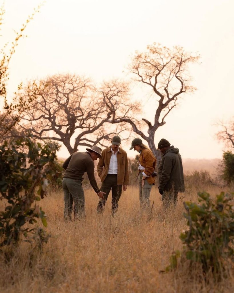 The Nature Walk Safaris