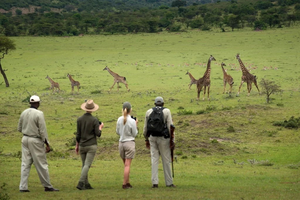 Explore the Wilderness on Foot