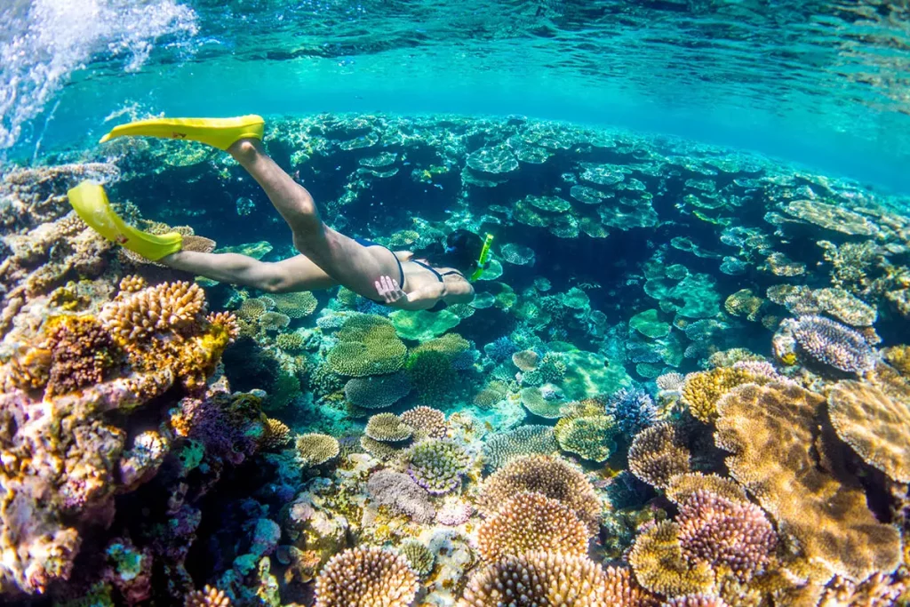 snorkrling in Mafia Island