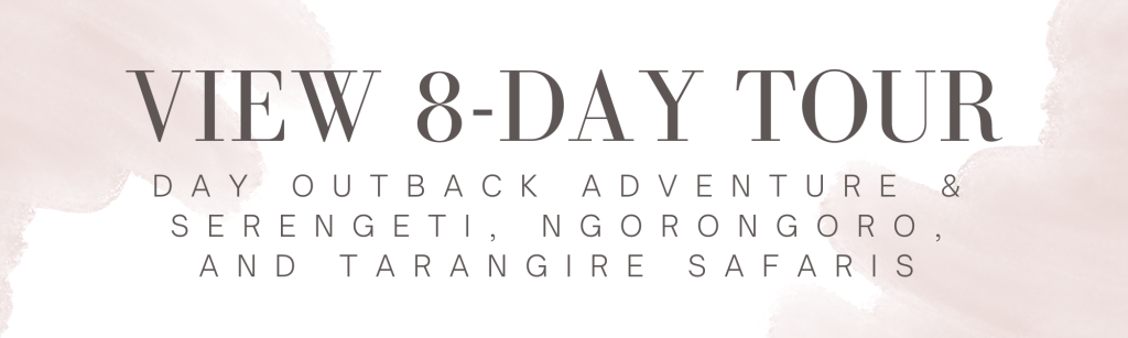 8 Day Tanzania luxury wildlife safari 2024