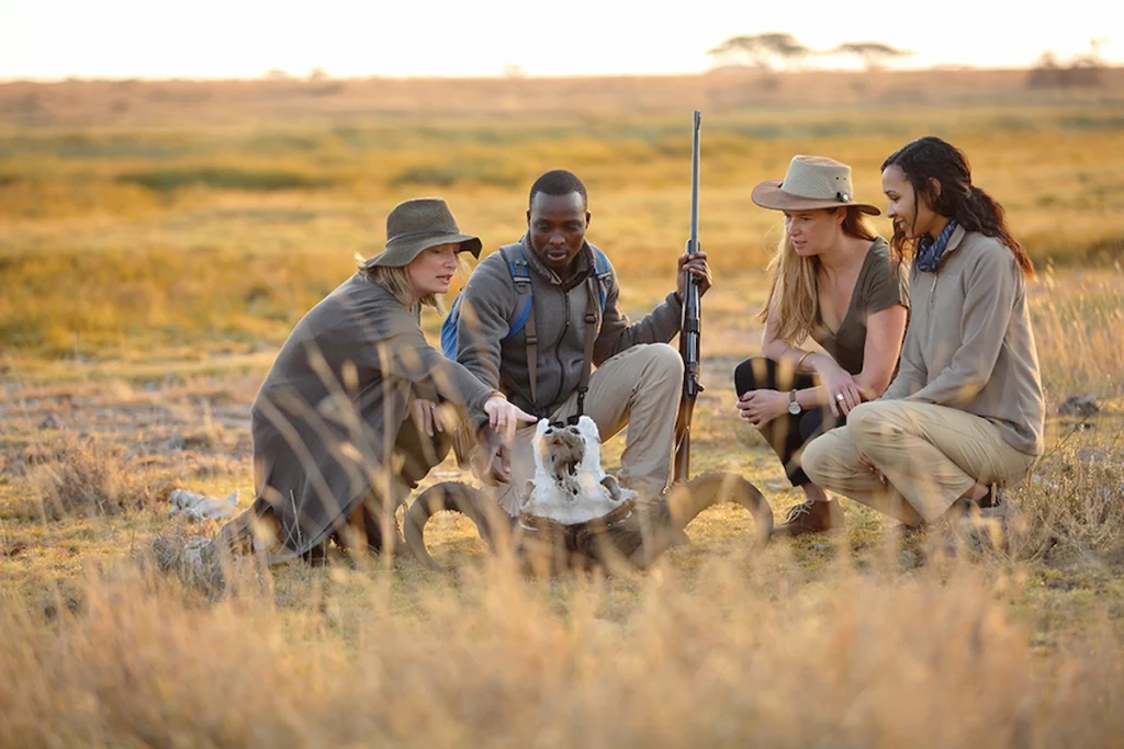 Guide with clients doing a nature walk in Ruaha National Park