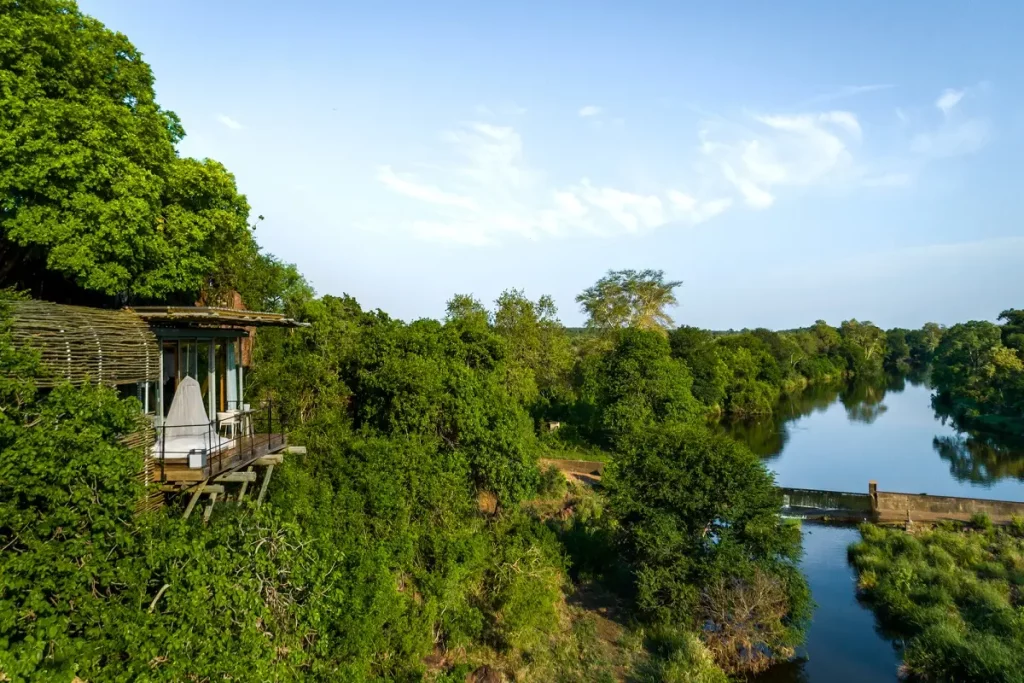 Tanzania Safari Cost 2024/2025-2026 | Best African Safari tours 2024/2025 - 2026
