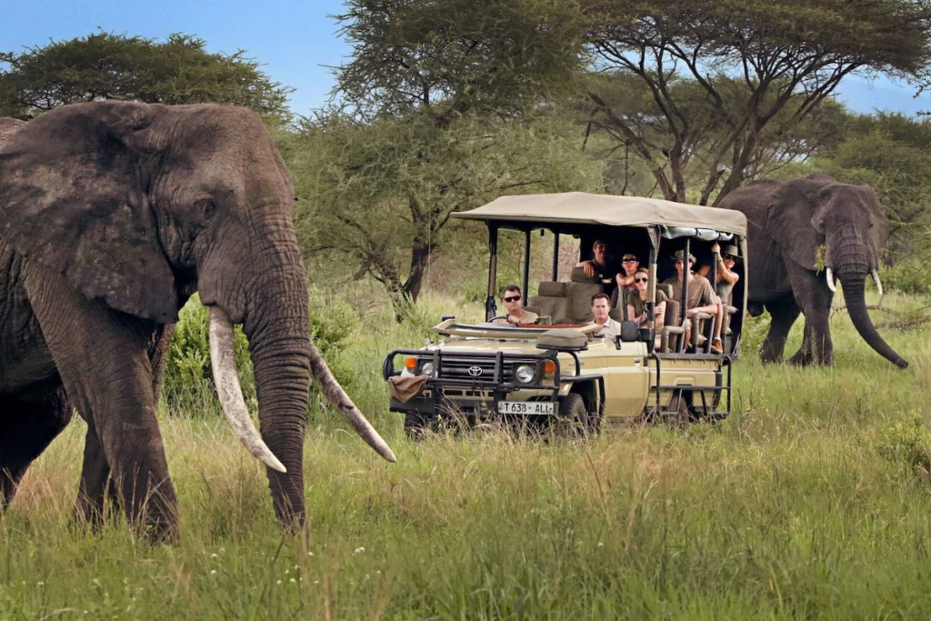 Tanzania safari experience