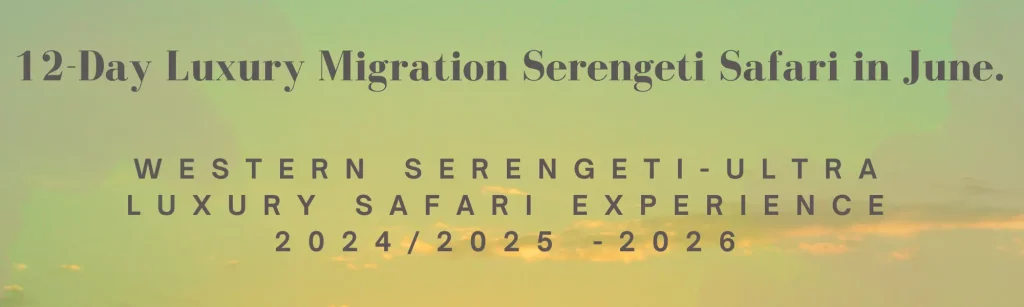 12 Day Luxury Migration Serengeti Safari in June | Tanzania Family Experience | East Africa Safari Guides