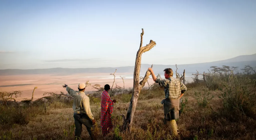tanzania retreat safari package 2024 & 2025