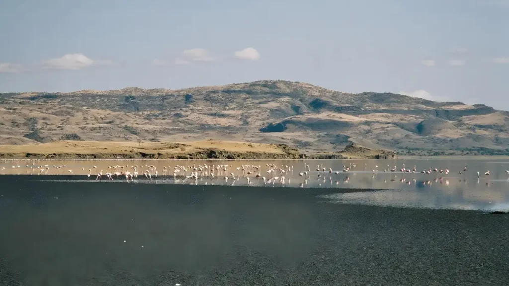 Is Lake Natron worth a visit 2025 / 2026 East Africa Safari Guides