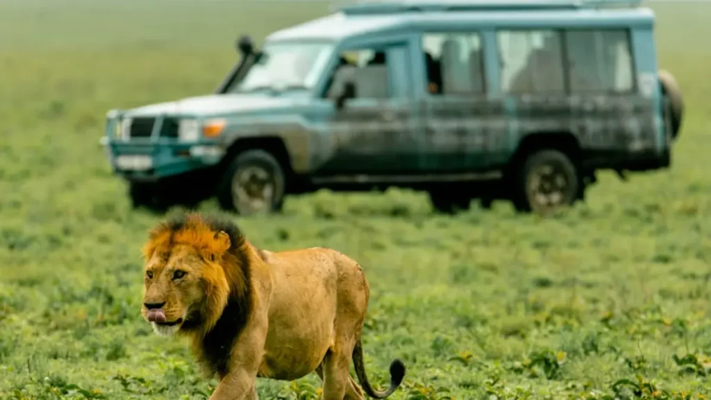 Serengeti balloon safari during Wildebeests Safari migration
