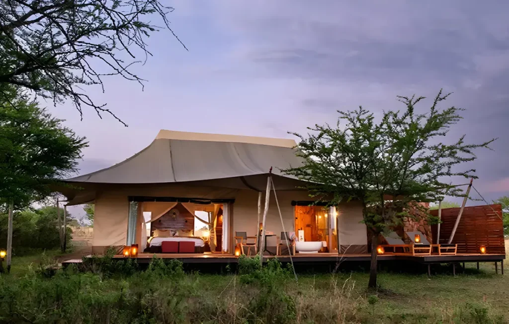 Guests experience at Asilia Africa - Sayari Camp