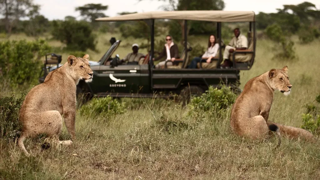 Watching Lions from a distance safari vehicle in Serengeti National Park