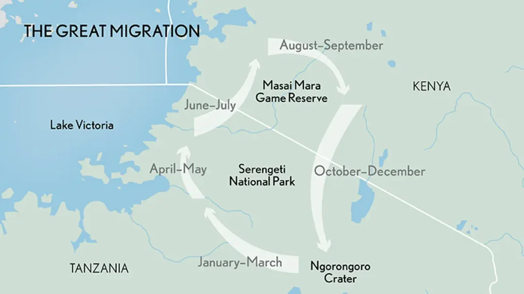 The Map showing how the wildebeets in Serengeti will move in August 2025