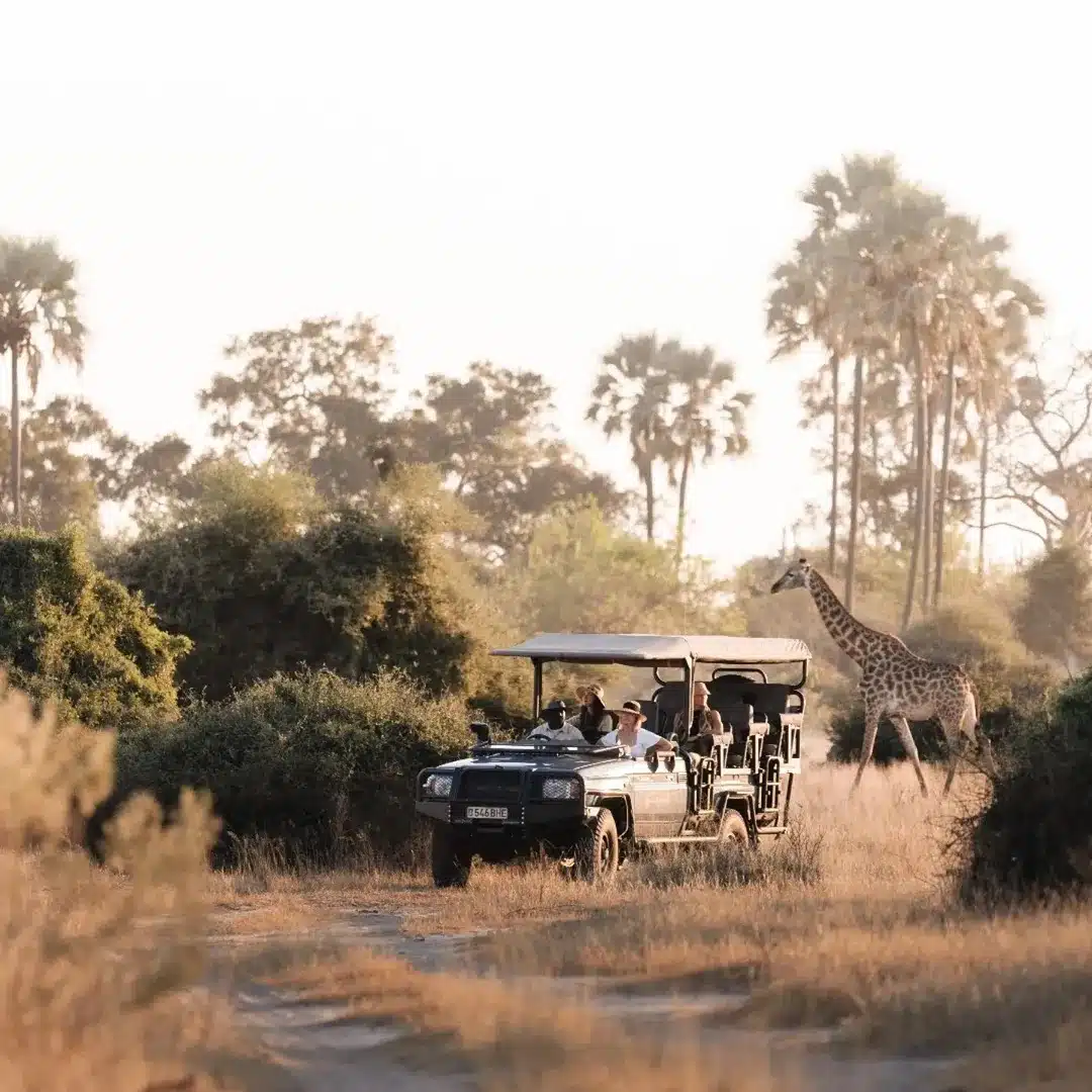Kwihala Camp, Ruaha National Park